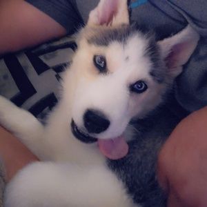 Meet your Posher, Ary